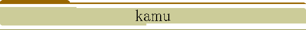 kamu